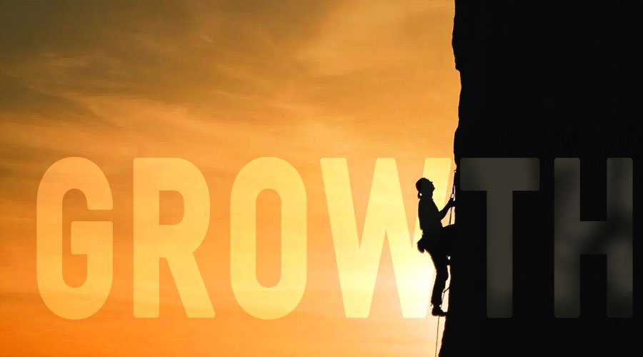 business owners and entrepreneurs